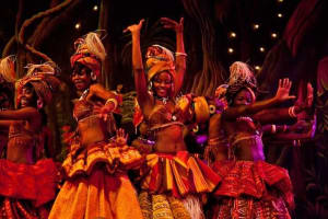 Private Dinner and Dance Experience in Nairobi Safari Park Hotel 4