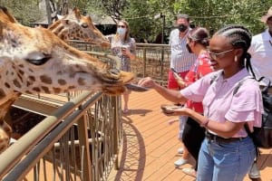 Private Tour in Giraffe Centre and Bomas of Kenya 4