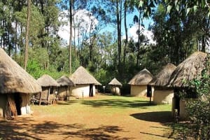 Giraffe center, Elephant Orphanage And Bomas of Kenya Group Tour 4