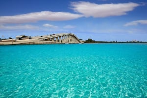 2 Hour Dolphin Boat Tour in Florida 3