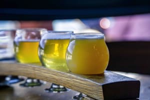 Ultimate Brooklyn Craft Brewery Tour with Snack & Tastings 4