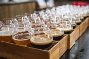 Ultimate Burlington Vermont Brewery Tour with Tastings & Snack 3