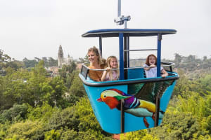 San Diego Zoo 1-Day Pass Any Day Ticket 3