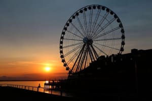 CitySightseeing Seattle Hop-On Hop-Off Bus Tour + Bookable Extras 4