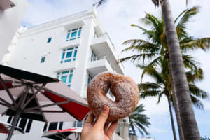 Underground Donut Tour Miami: Oceanfront Donut Tour 4