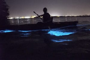Bioluminescence Kayak Tour 3