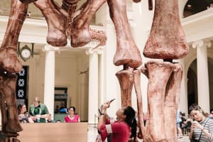 Field Museum of Natural History Admission Tickets 4
