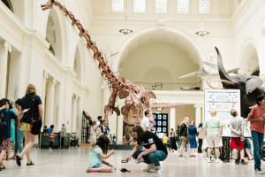  Field Museum of Natural History Early Access Ticket  4