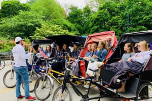 1 Hour Private Guided Pedicab Tour in New York City 4