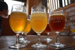 Craft Beer Tour Manchester 3