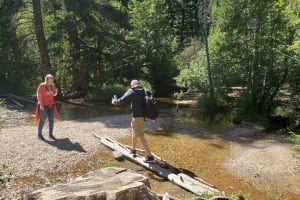 Rocky Mountain National Park in Summer Tour from Denver 4