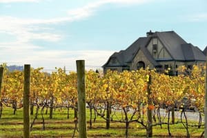 Full-Day Wine Country Wine Tastings From Atlanta  4