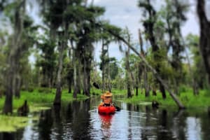 Manchac Swamp Kayak Small-Group Tour 3