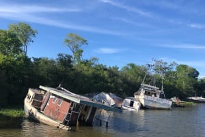 Self Guided Kayak Bayou Swamp Tour 4