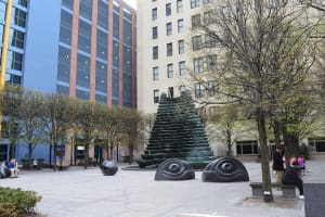 Best of the Burgh Walking Tour 4