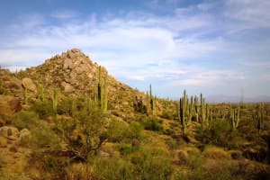 Iconic Tom's Thumb Hiking Adventure in Scottsdale 3