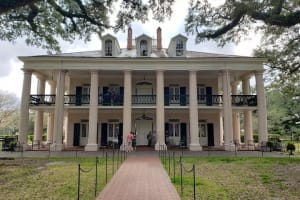 Oak Alley Plantation Tour with Transportation 3