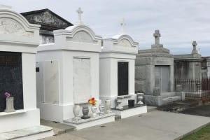 New Orleans City and Cemetery Sightseeing Tour 3