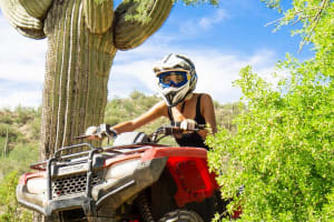 Self-Guided Centipede Desert ATV Rental 4