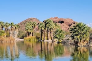 Private Guided Yoga Session At Papago Park 3