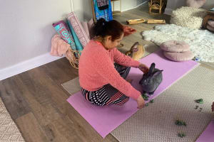 Bunny Yoga and Meditation 4