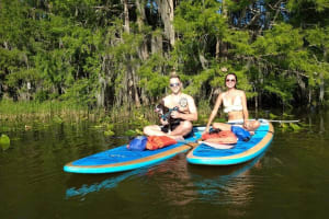 Paddle with Pups in Paradise - Paddleboard or Kayak 3