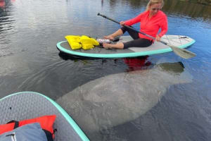 Manatee and Monkeys Clear Kayak or Clear Paddleboard Adventure 4