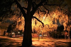 Savannah's 13 Ghosts, Voodoo, Murder & Mystery Tour 3
