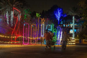 ZooLights Phoenix Zoo 3