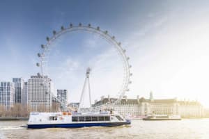 London Westminster to Greenwich Single Cruise Ticket 3