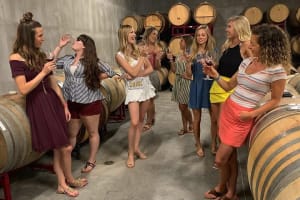 Waco Wine Tours 3