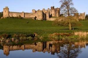 Viking Coast and Alnwick Castle Very Small Group Tour from Edinburgh  3