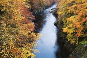 Scone Palace, Huntingtower Castle & Waterfalls Tour: Edinburgh 4