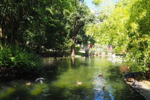 Uncover Oviedo's Legacy: A Self-Guided Audio Tour 3