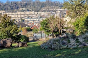 Unlock Bath's Secrets: A Self-Guided Audio Tour Along the Canal 3
