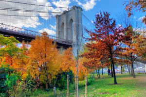 Brooklyn Bridge Waterfront Guided Bike Tour 4