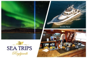 From Reykjavik: Northern Lights Cruise onboard the Amelia Rose 3
