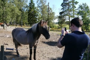 From Stockholm: Viking History Small-Group Tour | Full Day 4