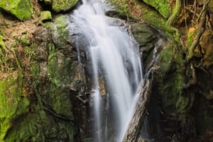 Parque Nacional Nonguén 3