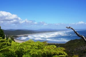 Parque Nacional Chiloé 3
