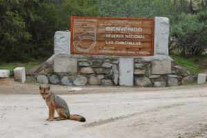 Reserva Nacional Las Chinchillas 3