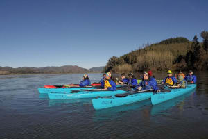 Tour en Kayak por el Río Bio bío 4