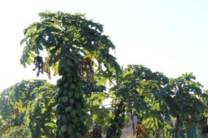 Tour Pisco Elqui: Naturaleza, Relajo y Descubrimiento 4