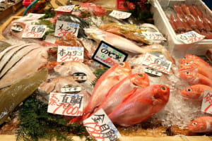 A Tour Through Tokyo’s Kitchen (with World's Most Famous Fish Market) 4