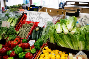 Multicultural Markets of Melbourne Tour 3
