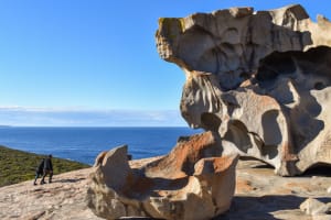 Kangaroo Island Daytrip: Flinders Chase National Park, Nature and Wildlife-W2 3