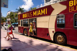 Go City Miami Pass: 35+ Attractions - Includes Gatorland 3