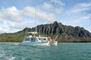 Go City Oahu Pass: 40+ Top Attractions - Includes Luau 3