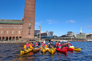Winter Kayak Tour in Stockholm 4