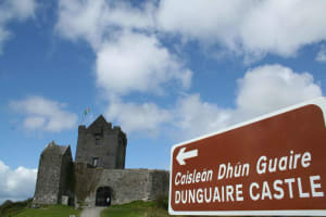 Galway to Cliffs of Moher and The Burren Day Tour 4